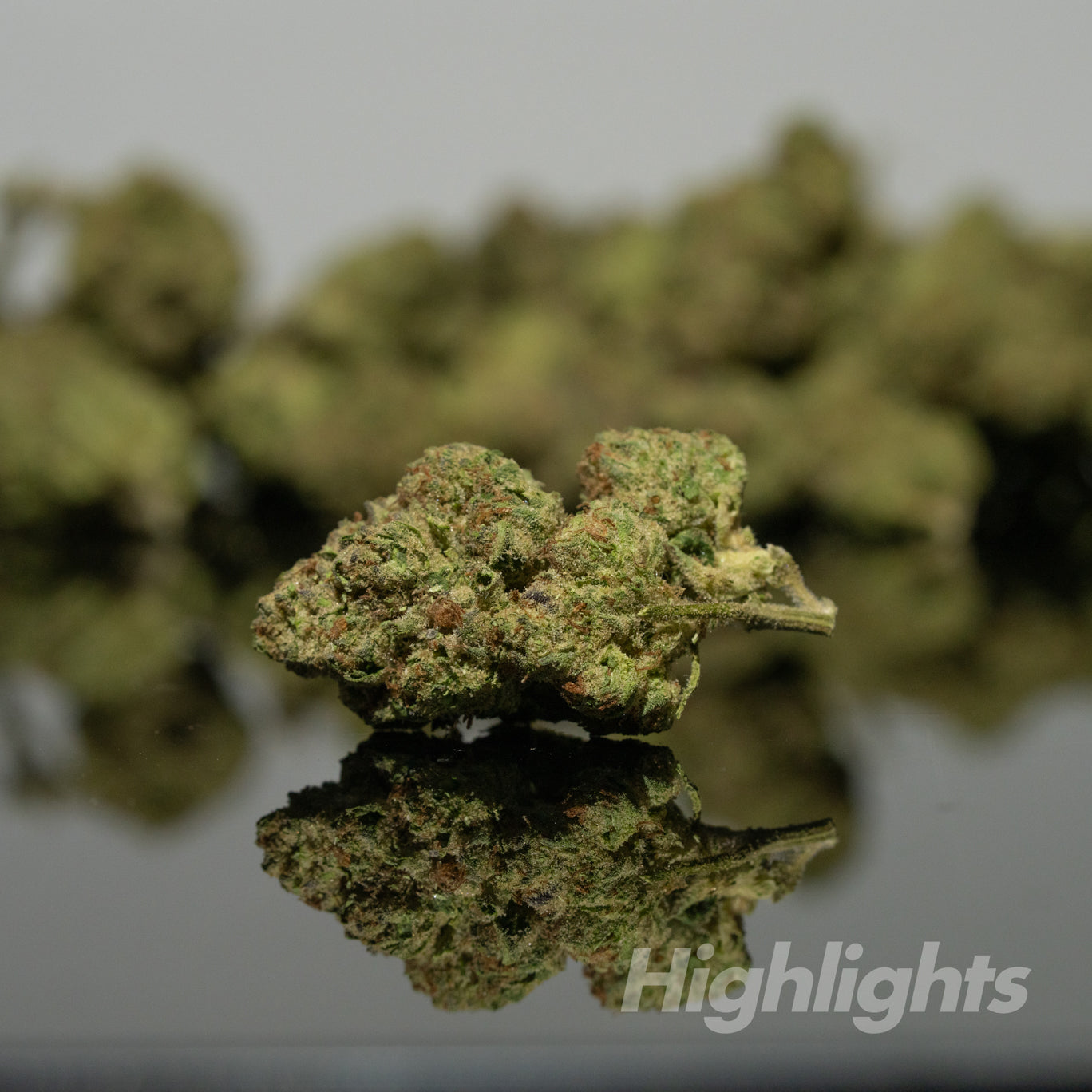 Lemon Cherry Gelato 2